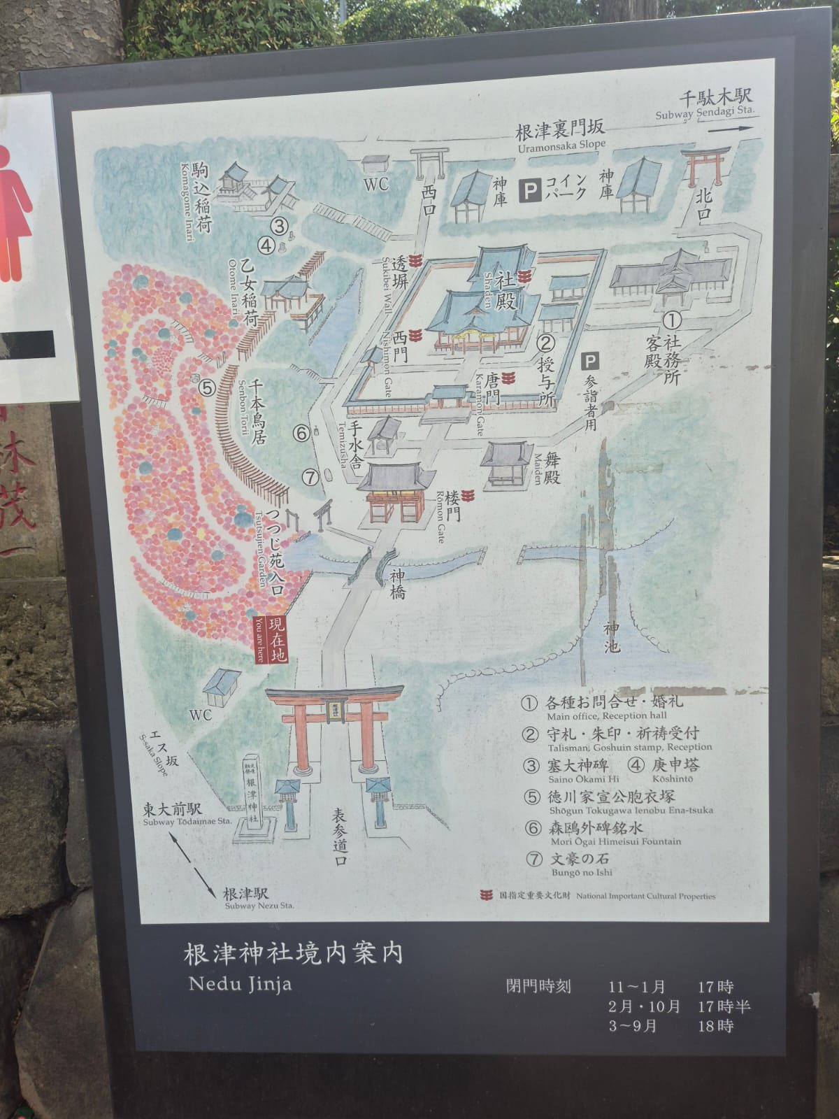 Map board of Nezu Shrine grounds